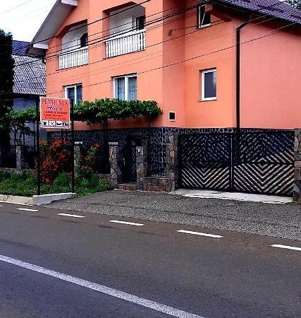 Pensiunea Anca Rona de Jos Bagian luar foto