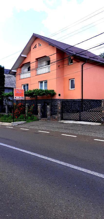 Pensiunea Anca Rona de Jos Bagian luar foto