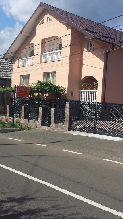 Pensiunea Anca Rona de Jos Bagian luar foto