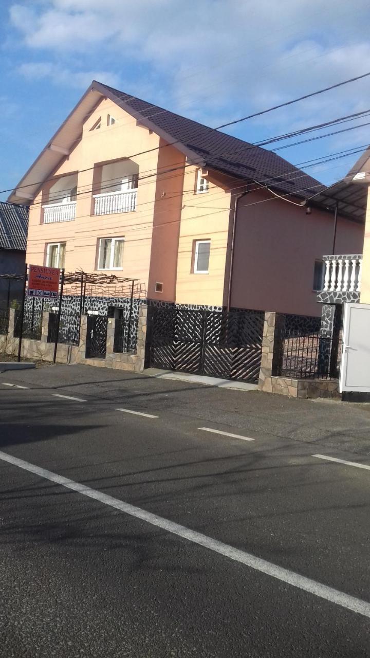 Pensiunea Anca Rona de Jos Bagian luar foto